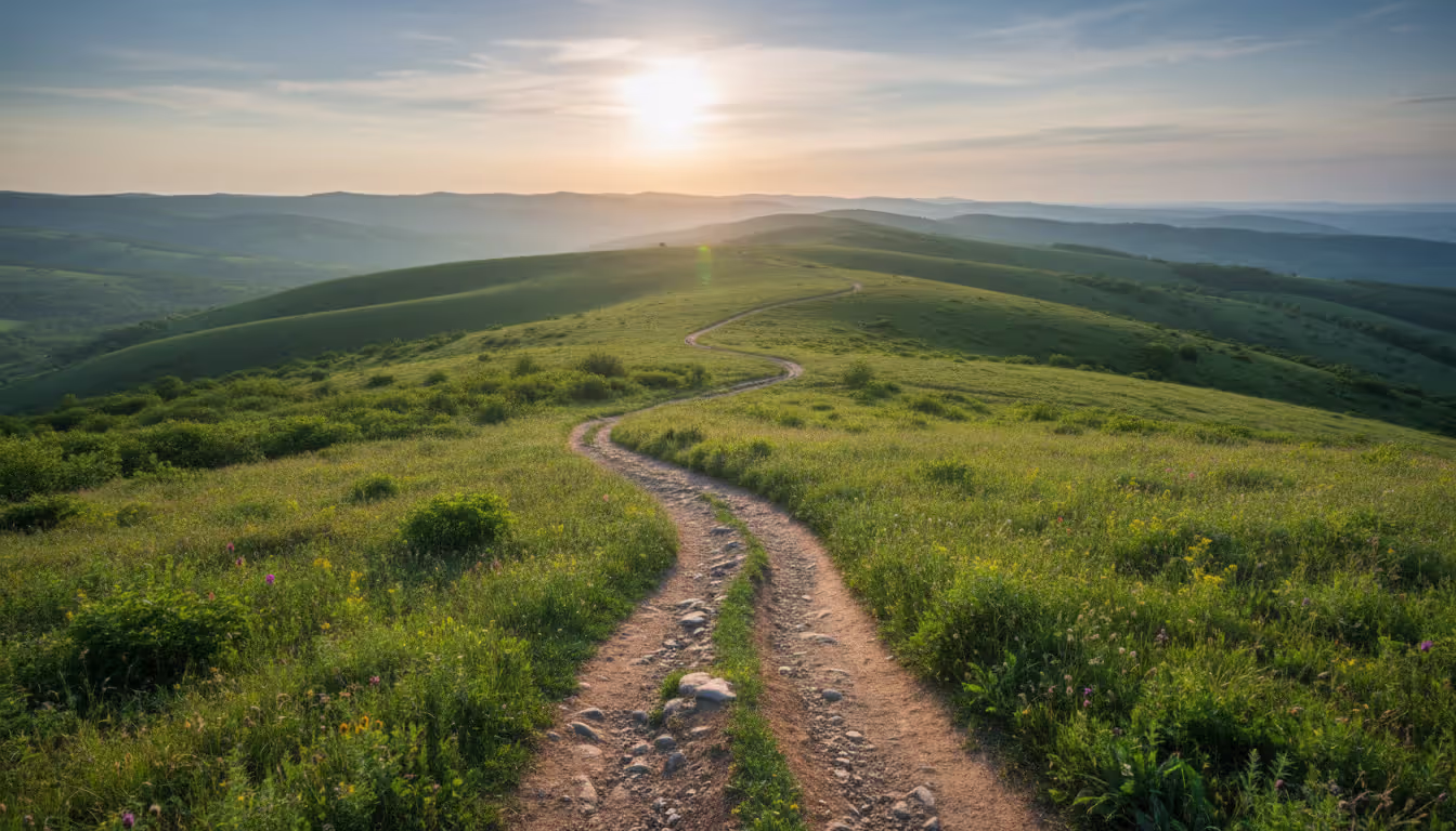A winding path going through green rolling hills toward soft light on the horizon symbolizing non-linear meditation progress