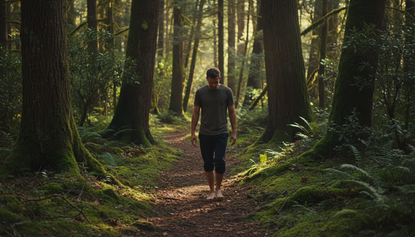 A person walking barefoot slowly along a sunlit forest path practicing walking meditation surrounded by tall green trees