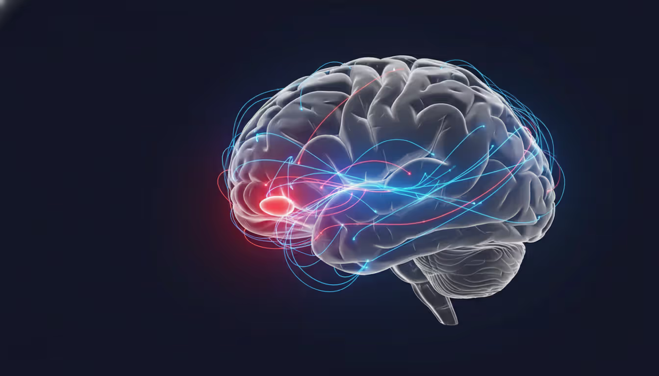 Scientific illustration of human brain highlighting amygdala in red and prefrontal cortex in blue connected by glowing neural pathways