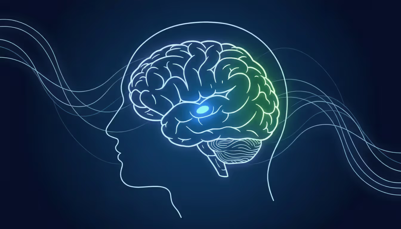 Human brain diagram highlighting amygdala and prefrontal cortex with calming wave patterns on dark blue background