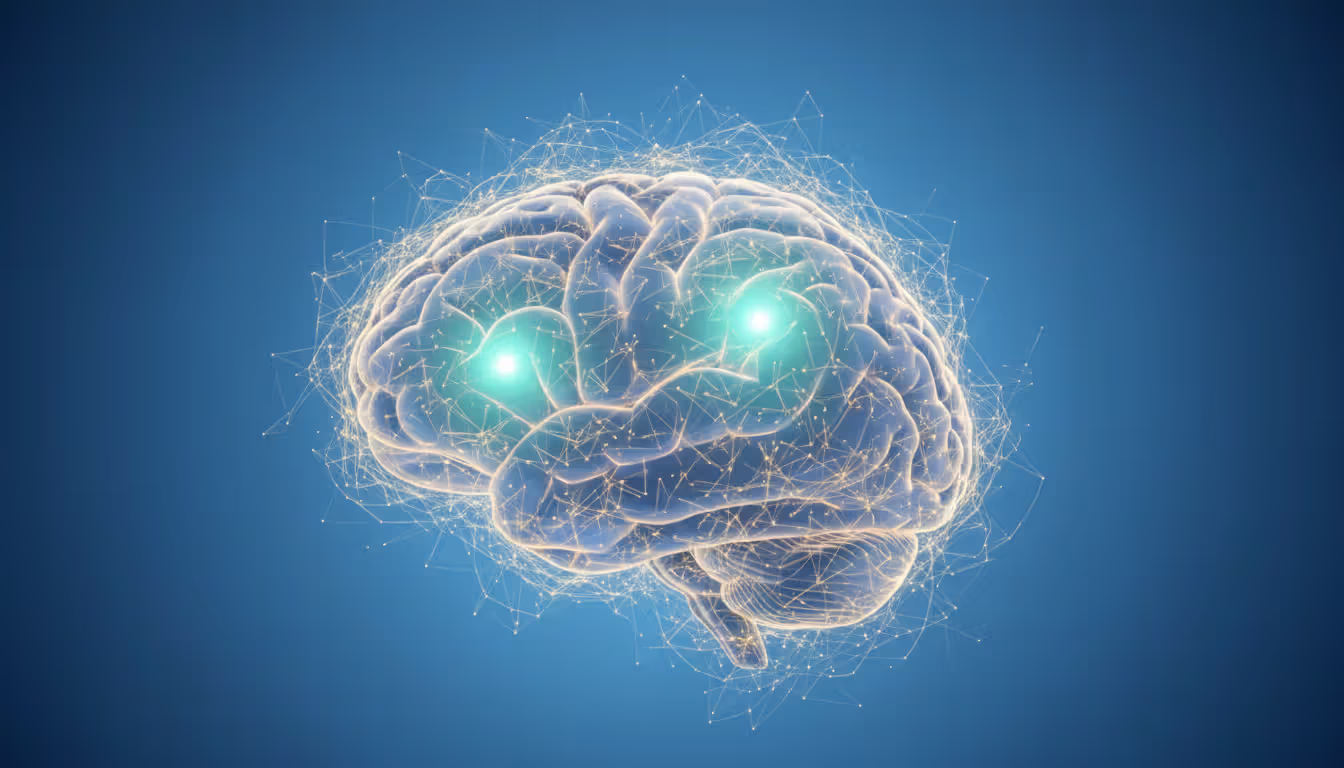 Stylized illustration of a human brain highlighting the hippocampus and amygdala regions with glowing neural pathways representing neuroplasticity
