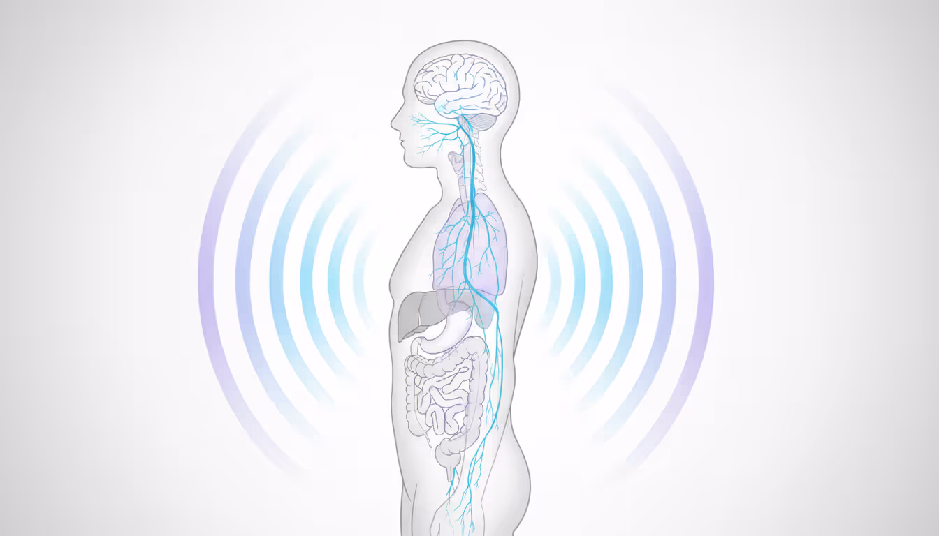 Medical illustration showing the vagus nerve pathway from the brain through the body with glowing highlights indicating parasympathetic nervous system activation